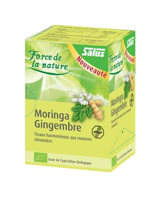Tisane force de la nature moringa gingembre